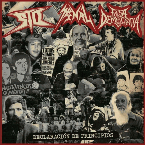 STD : Declaración de Principios